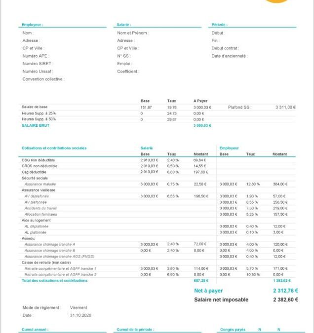 Formation gestionnaire de paie à distance : débouchés et opportunités à connaître