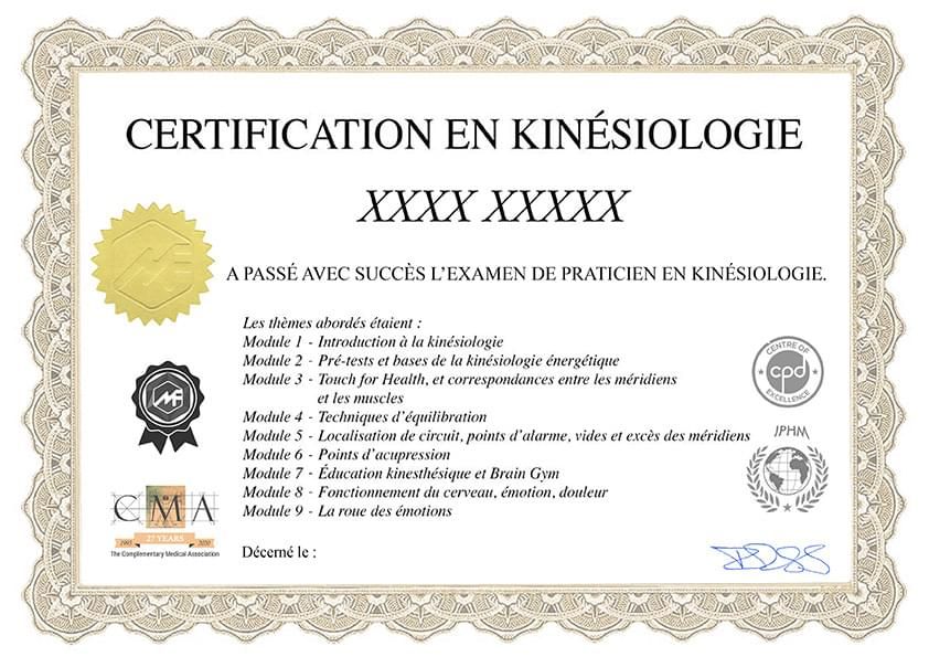 Apprentissage kinésiologie en ligne
