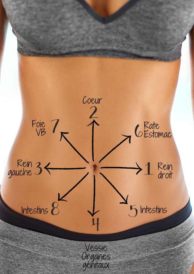 Cours kinésiologie à distance