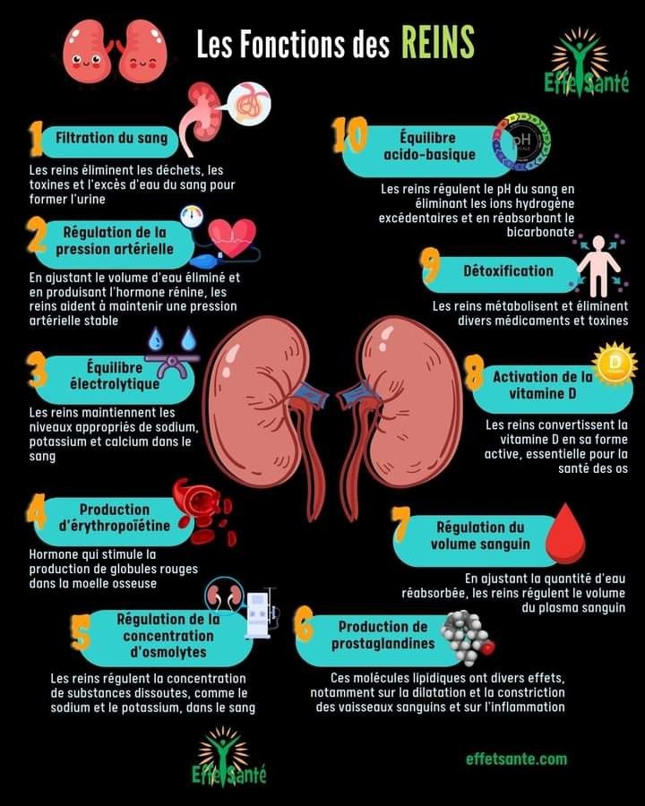 Cours kinésiologie à distance