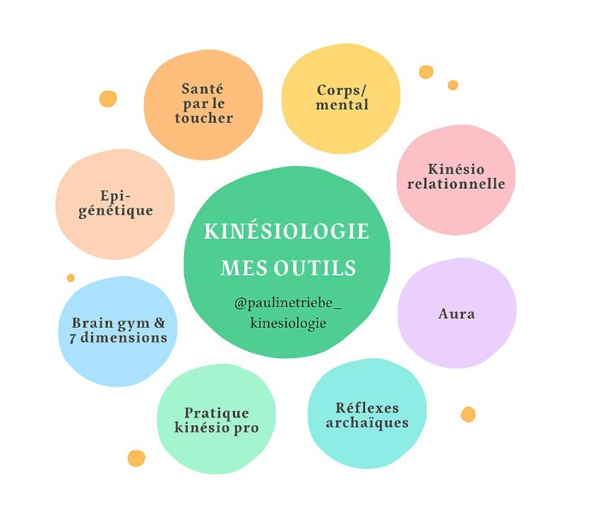 Cours en ligne kinésiologie