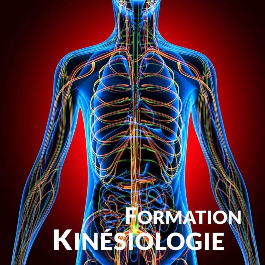 Étudier kinésiologie à distance