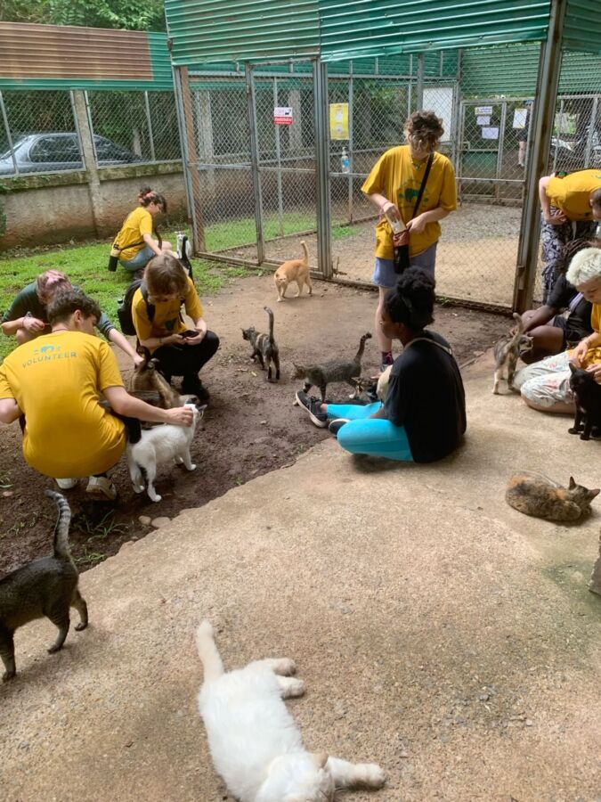 Formation soigneur animalier certifiée