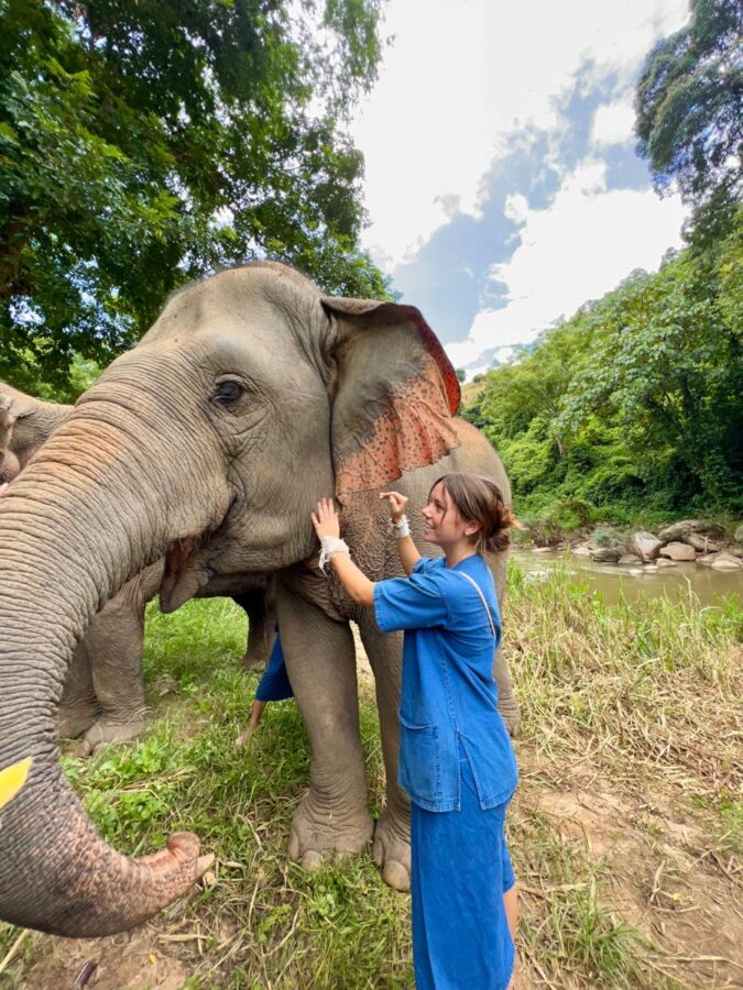 Expert en soins animaliers reconnu