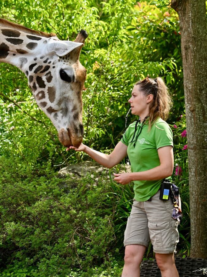 Certification d'État soins animaliers