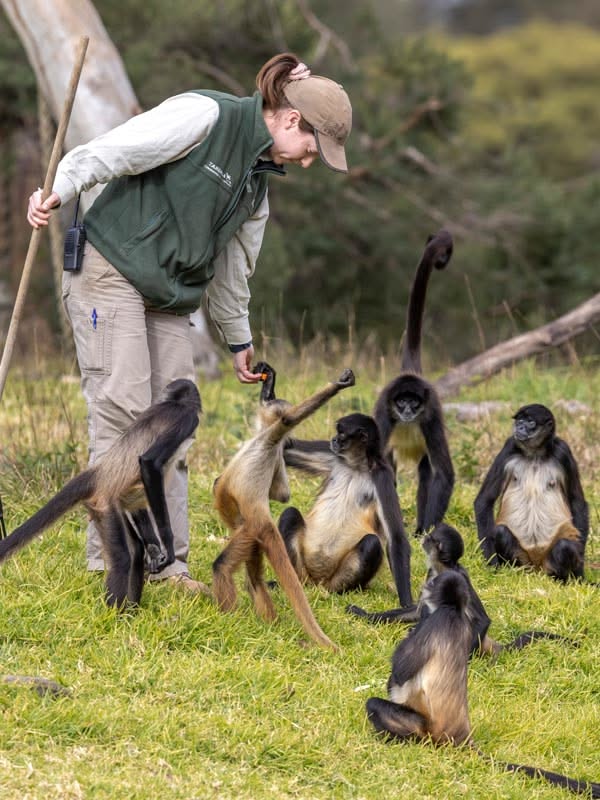 Certification d'État soins animaliers