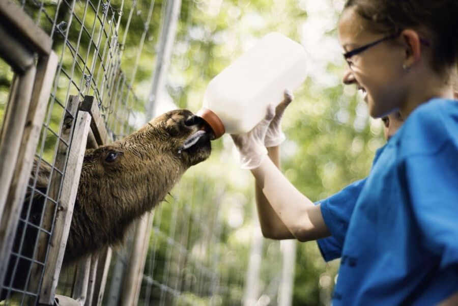 Rémunération soigneur animalier zoo