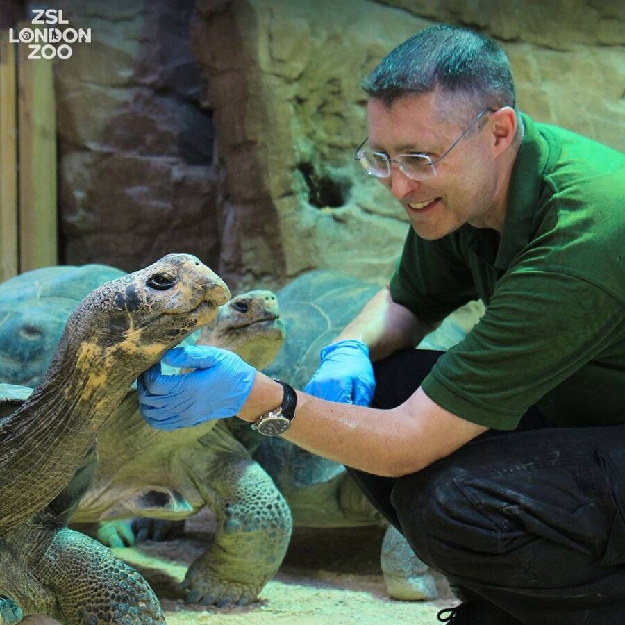 Salaire moyen soigneur animalier