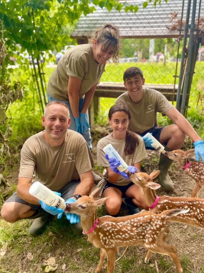 Rémunération soigneur animalier zoo