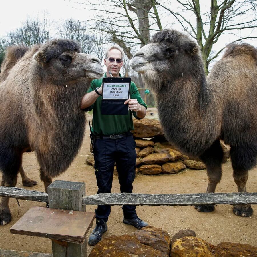 Rémunération soigneur animalier zoo