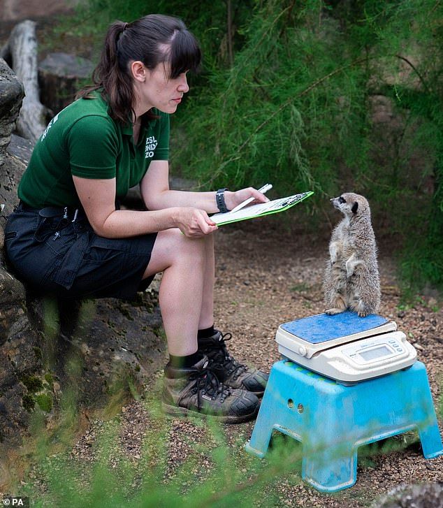 Salaire moyen soigneur animalier
